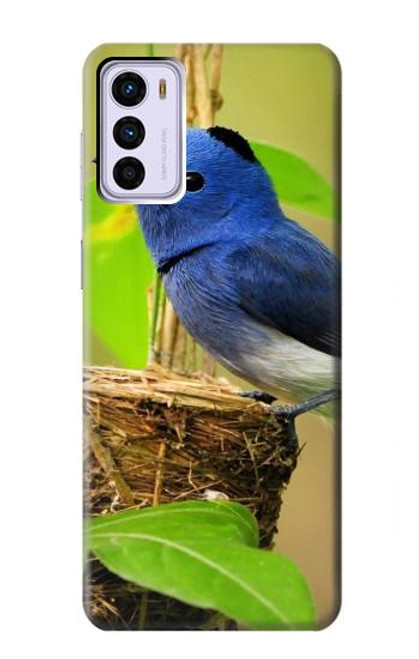 S3839 Bluebird of Happiness Blue Bird Case For Motorola Moto G42