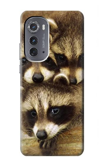 S0977 Baby Raccoons Case For Motorola Edge (2022)