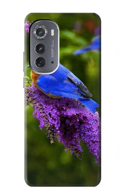 S1565 Bluebird of Happiness Blue Bird Case For Motorola Edge (2022)