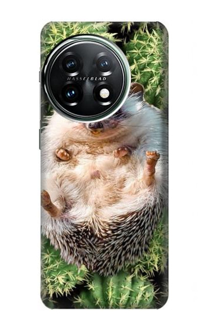 S3863 Pygmy Hedgehog Dwarf Hedgehog Paint Case For OnePlus 11