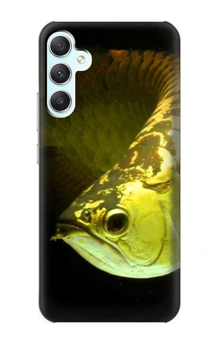 S1021 Gold Arowana Fish Case For Samsung Galaxy A34 5G