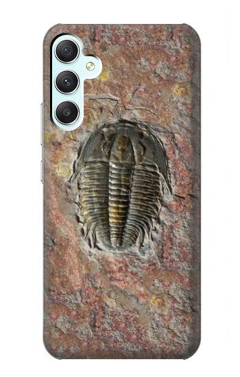 S1454 Trilobite Fossil Case For Samsung Galaxy A34 5G