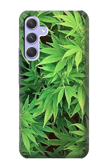 S1656 Marijuana Plant Case For Samsung Galaxy A54 5G