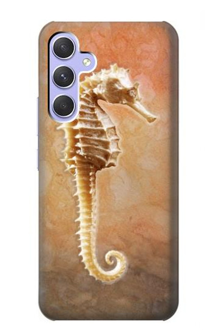 S2674 Seahorse Skeleton Fossil Case For Samsung Galaxy A54 5G