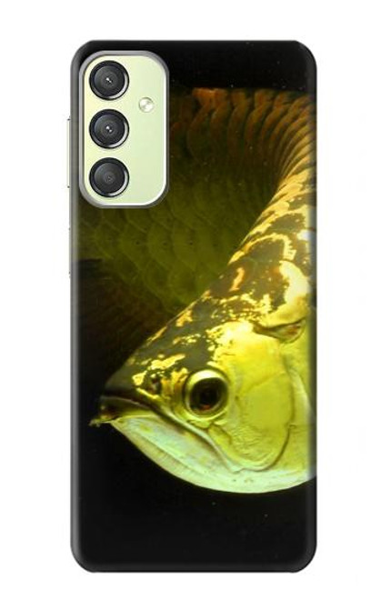 S1021 Gold Arowana Fish Case For Samsung Galaxy A24 4G