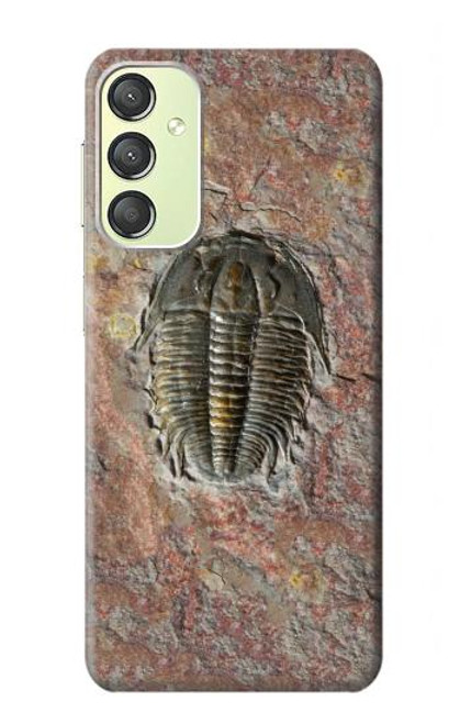 S1454 Trilobite Fossil Case For Samsung Galaxy A24 4G