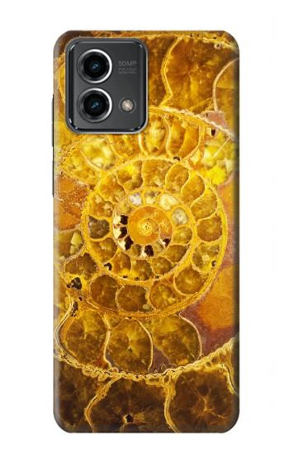 S1789 Ammonite Fossils Case For Motorola Moto G Stylus 5G (2023)