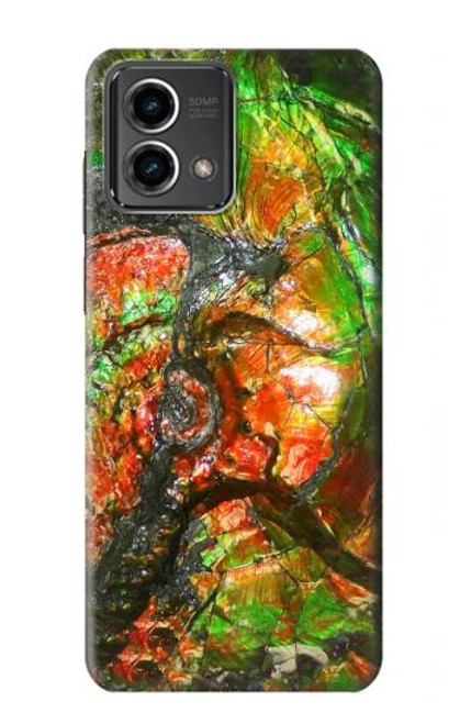 S2694 Ammonite Fossil Case For Motorola Moto G Stylus 5G (2023)