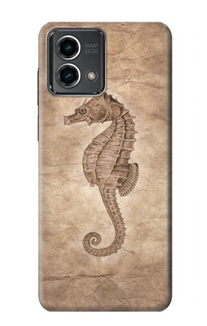 S3214 Seahorse Skeleton Fossil Case For Motorola Moto G Stylus 5G (2023)