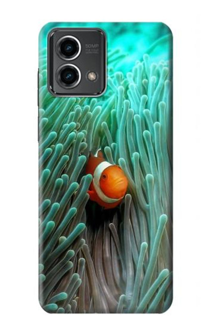 S3893 Ocellaris clownfish Case For Motorola Moto G Stylus 5G (2023)