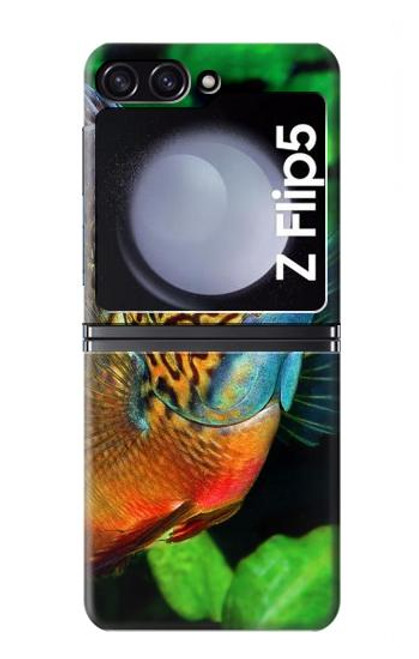 S1812 Cichlid Fish Case For Samsung Galaxy Z Flip 5