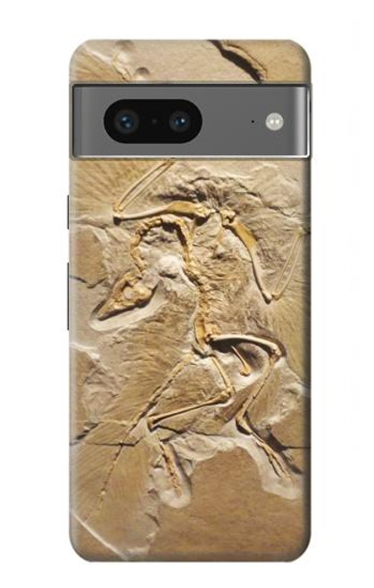 S0380 Dinosaur Fossil Case For Google Pixel 7a