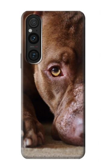 S0519 PitBull Face Case For Sony Xperia 1 V
