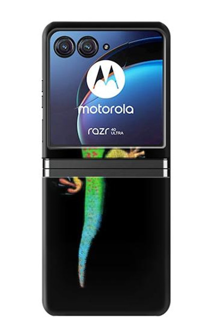 S0125 Green Madagascan Gecko Case For Motorola Razr 40 Ultra