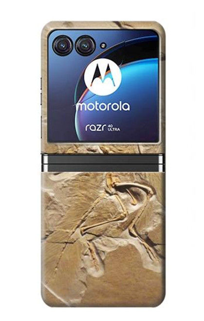 S0380 Dinosaur Fossil Case For Motorola Razr 40 Ultra