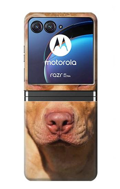 S2903 American Pitbull Dog Case For Motorola Razr 40 Ultra