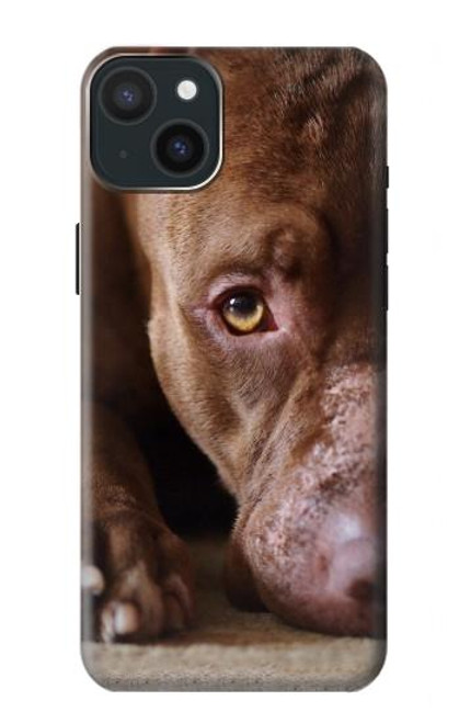 S0519 PitBull Face Case For iPhone 15 Plus