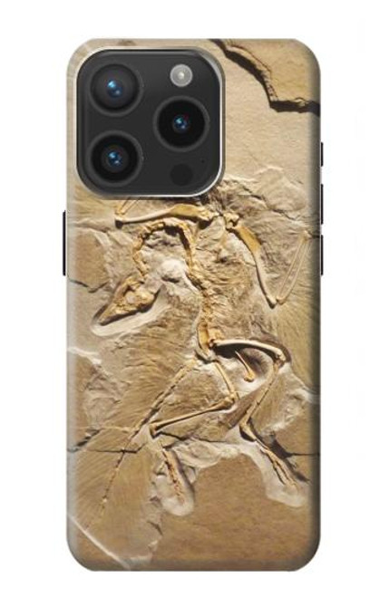 S0380 Dinosaur Fossil Case For iPhone 15 Pro