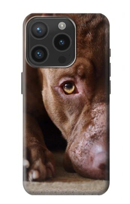 S0519 PitBull Face Case For iPhone 15 Pro