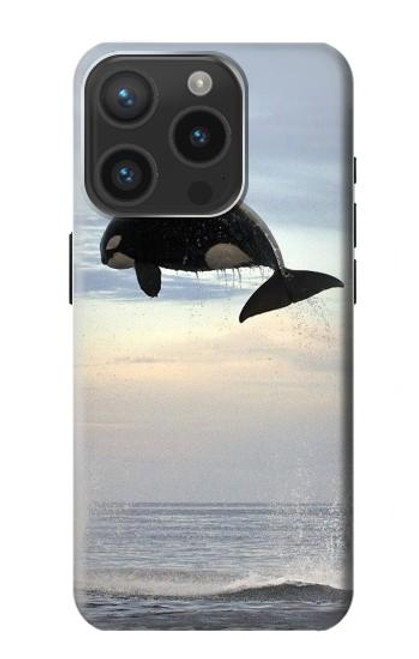 S1349 Killer whale Orca Case For iPhone 15 Pro