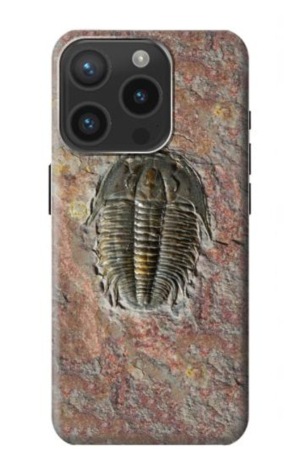 S1454 Trilobite Fossil Case For iPhone 15 Pro