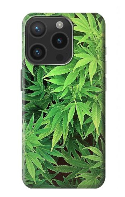 S1656 Marijuana Plant Case For iPhone 15 Pro