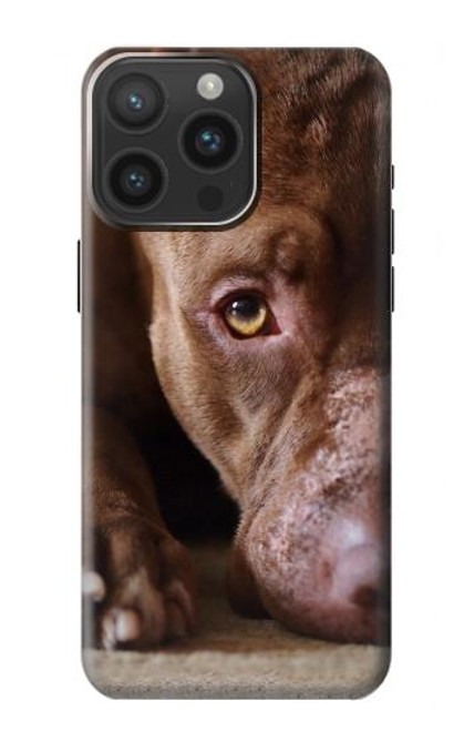 S0519 PitBull Face Case For iPhone 15 Pro Max