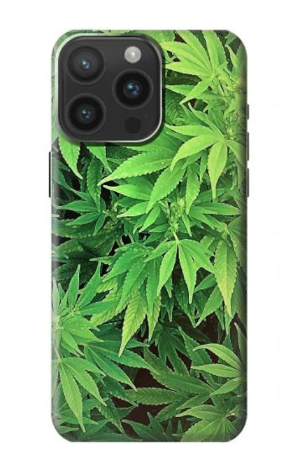 S1656 Marijuana Plant Case For iPhone 15 Pro Max