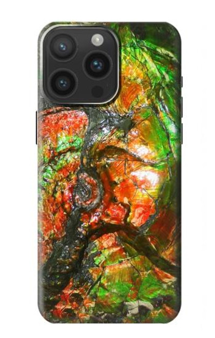 S2694 Ammonite Fossil Case For iPhone 15 Pro Max