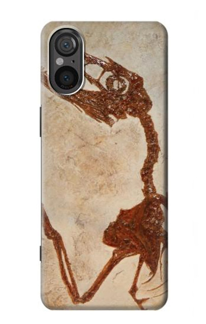 S0379 Dinosaur Fossil Case For Sony Xperia 5 V