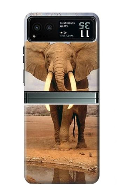 S0310 African Elephant Case For Motorola Razr 40