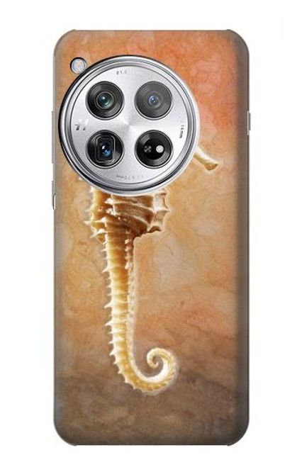 S2674 Seahorse Skeleton Fossil Case For OnePlus 12