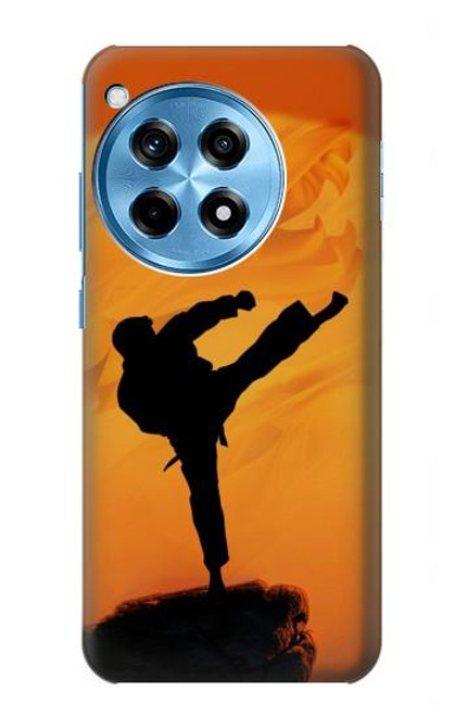 S3024 Kung Fu Karate Fighter Case For OnePlus 12R