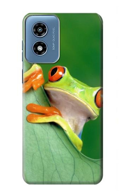 S1047 Little Frog Case For Motorola Moto G Play 4G (2024)