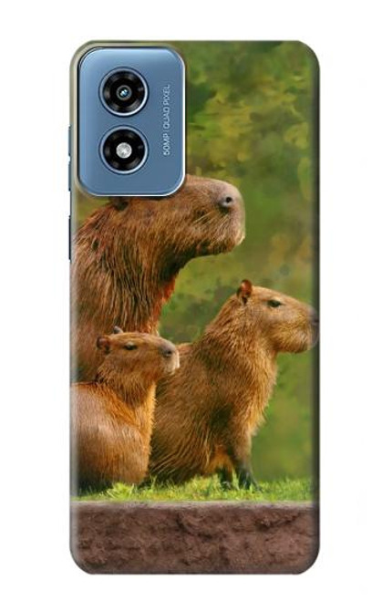 S3917 Capybara Family Giant Guinea Pig Case For Motorola Moto G Play 4G (2024)