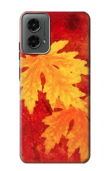 S0479 Maple Leaf Case For Motorola Moto G 5G (2024)
