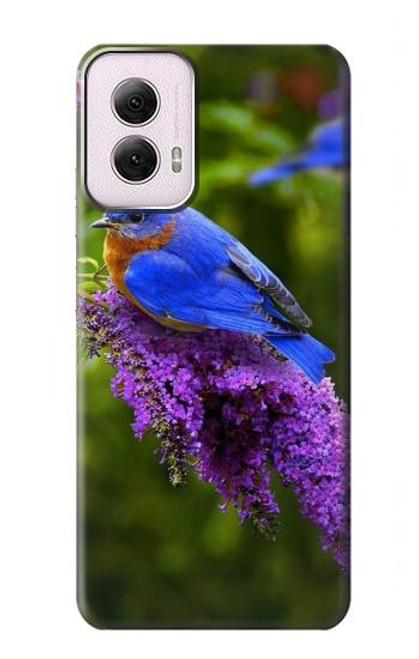 S1565 Bluebird of Happiness Blue Bird Case For Motorola Moto G Power 5G (2024)