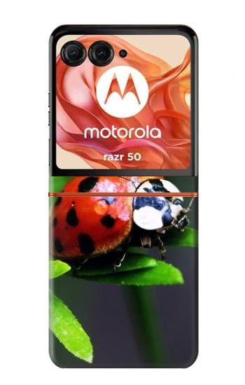 S0263 Ladybug Case For Motorola Razr 70,60,50, Razr (2026, 2025, 2024)