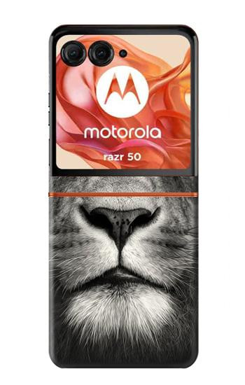 S1352 Lion Face Case For Motorola Razr 70,60,50, Razr (2026, 2025, 2024)