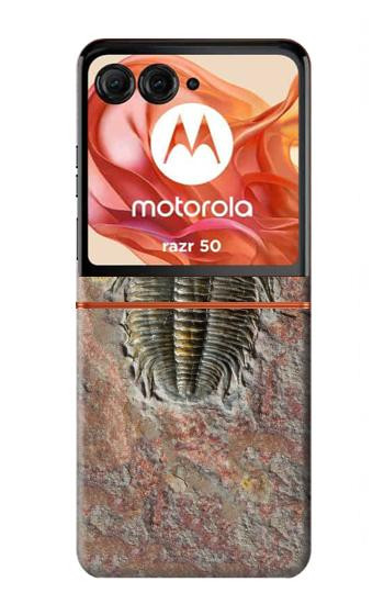 S1454 Trilobite Fossil Case For Motorola Razr 70,60,50, Razr (2026, 2025, 2024)