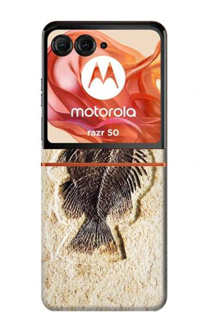 S2562 Fossil Fish Case For Motorola razr 2024, Motorola razr 2024, Motorola Razr 50