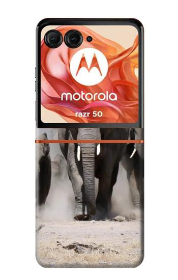 S3142 African Elephant Case For Motorola Razr 70,60,50, Razr (2026, 2025, 2024)