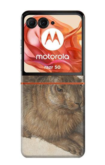 S3781 Albrecht Durer Young Hare Case For Motorola Razr 70,60,50, Razr (2026, 2025, 2024)