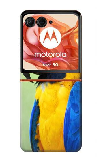 S3888 Macaw Face Bird Case For Motorola Razr 70,60,50, Razr (2026, 2025, 2024)