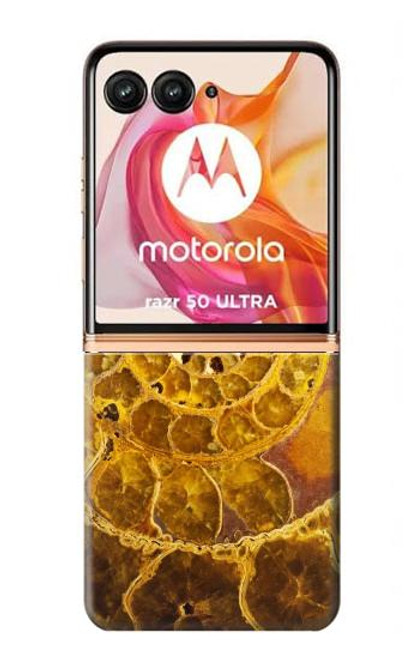 S1789 Ammonite Fossils Case For Motorola razr+ 2024, Motorola Razr 50 Ultra