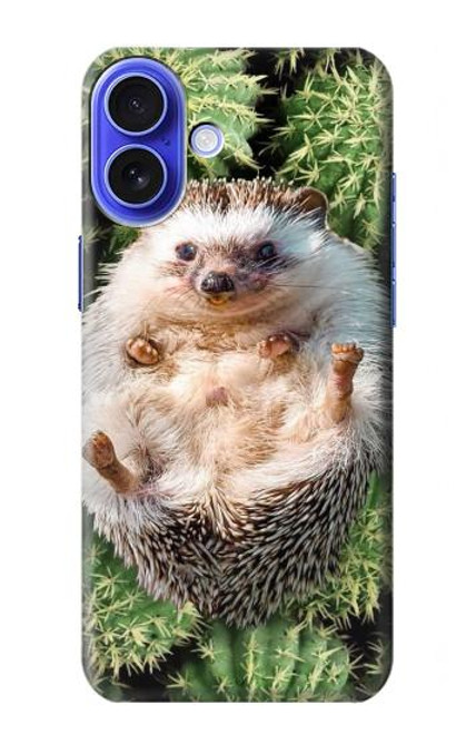 S3863 Pygmy Hedgehog Dwarf Hedgehog Paint Case For iPhone 16