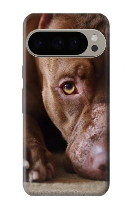 S0519 PitBull Face Case For Google Pixel 9 Pro