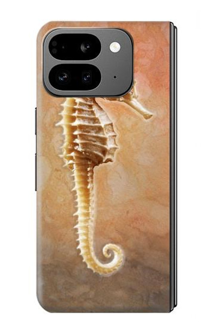 S2674 Seahorse Skeleton Fossil Case For Google Pixel 9 Pro Fold
