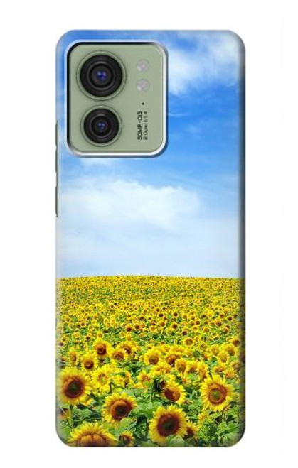 S0232 Sunflower Case For Motorola Edge (2023), Edge 40
