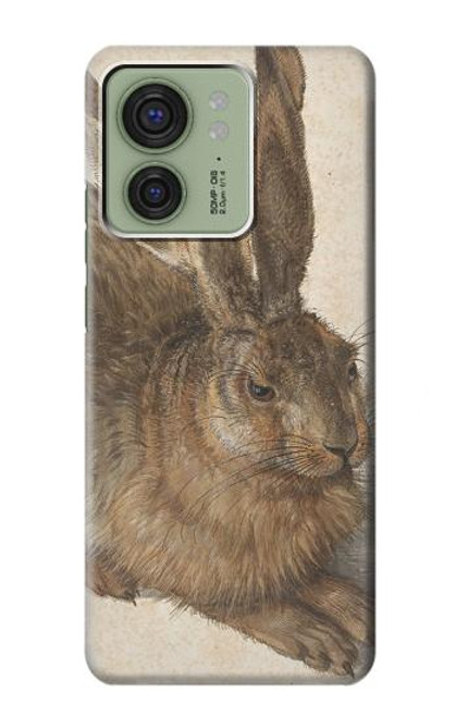 S3781 Albrecht Durer Young Hare Case For Motorola Edge (2023), Edge 40 S3781 Albrecht Durer Young Hare Case For Motorola Edge (2023), Edge 40
